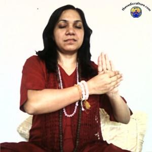 Styamargi Mudra Vigyan